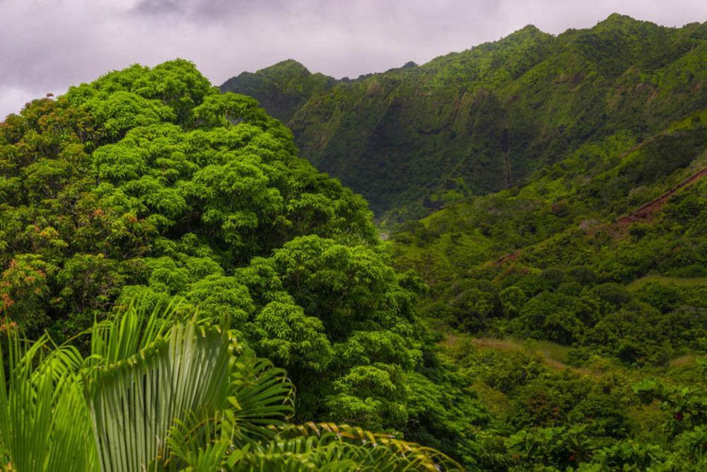 Hale Ho'O Maha Bed And Breakfast Hanalei Kültér fotó